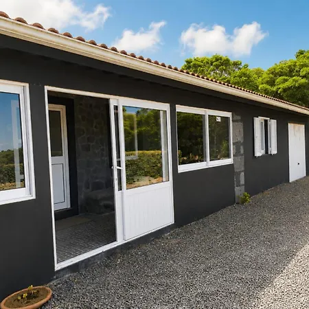 Adega Do Carlos Pinheiro Ferienhaus *